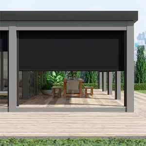 في الهواء الطلق نافذة يمكن طيها ولفها في الهواء الطلق ظلة واضح الفينيل PVC المطر لفة صعودا وهبوطا أعمى الباحة نافذة شاشة الشمس ظلال في الهواء الطلق - Product Image 1