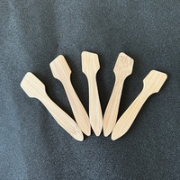 Spatule à maquillage en bois de luxe, mini cuillère, outil de beauté, cuillère à masque, cuillère à crème cosmétique, spatules pour crème faciale