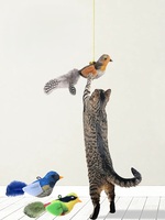 Jouets pour chats et oiseaux interactifs modernes de haute qualité, réalistes, en coton, avec son couineur, sonore, à la catnip, durables, suspendus et rétractables