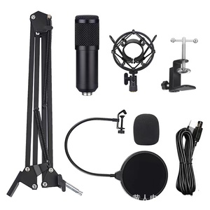 Nhà Máy Bán Hàng Trực Tiếp Ghi Âm Microphone Ca Hát Máy Tính Phòng Thu Condenser Microphone Mike Kit Giá Tốt Nhất <span class=keywords><strong>Mic</strong></span> - Product Image 1