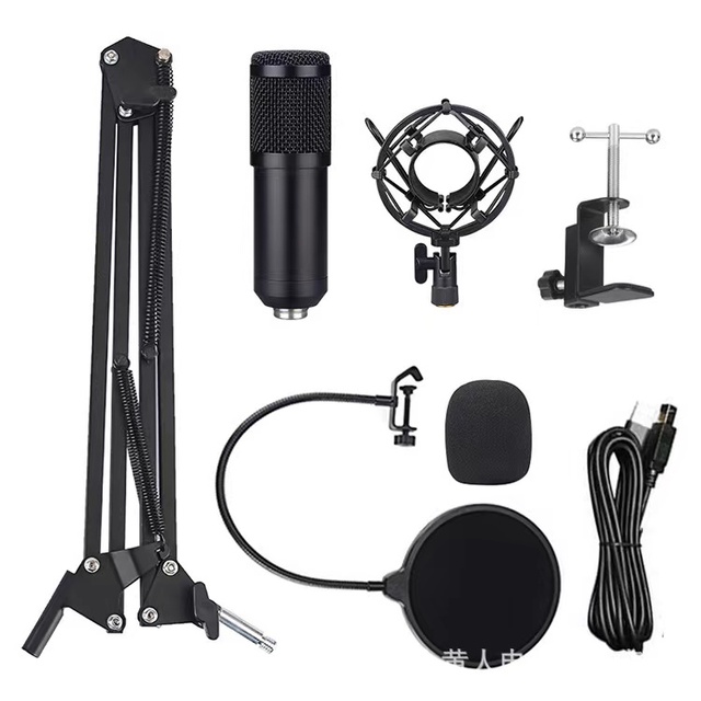 Factory Direct Sale Recording Microphone Singing Computer Studio Condenser Microphone Mike Kit Best Price Mic