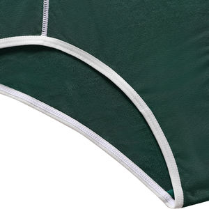 Tanga de Nylon sin Costuras, Transpirable, Ecológica, de Tiro Bajo, para Mujer, con Logotipo Personalizado en la Cintura - Product Image 4