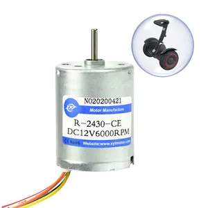 2430 12 V yüksek tork mikro 12 Volt küçük elektrikli 24v fiyat Dc Mini fırçasız Motor