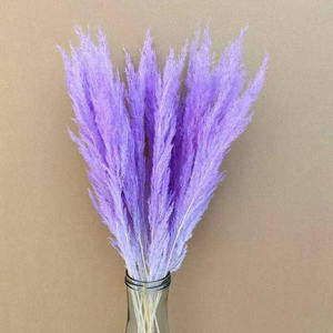 Arreglos florales para el hogar, decoración de boda, Pampas secas, hierba rugosa, hierba - Product Image 6