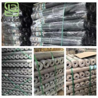 Grillage hexagonal galvanisé en gros, plusieurs tailles, grillage à poules pour clôture de sécurité de ferme, jardin, rouleau de filet