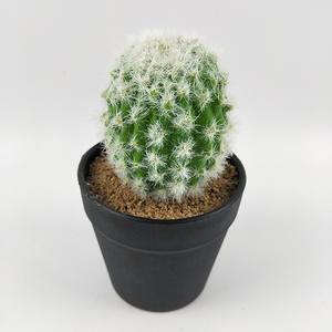Plantas Artificiales de Plástico al por Mayor, en Maceta, de Alta Simulación, Surtidas, Tropicales, en Maceta de Plástico, para Decoración de Mesa - Product Image 5