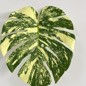 LO-532 Vente en gros <span class=keywords><strong>de</strong></span> feuilles <span class=keywords><strong>de</strong></span> <span class=keywords><strong>palmier</strong></span> Monstera artificielles 3D géantes <span class=keywords><strong>de</strong></span> 124 cm, aspect réaliste, pour arrangements et décorations - Product Image 3
