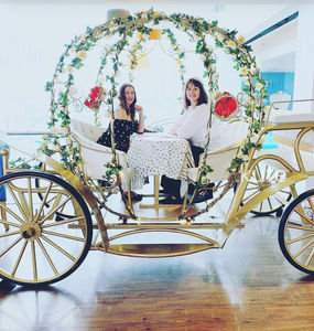 Carroza de Cenicienta Eléctrica en Oferta, para Bodas y Recorridos Turísticos, Transporte Especial - Product Image 5