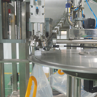 Machine intégrée entièrement automatique de remplissage, scellage et codage de sachets de lait, d'eau et de liquides