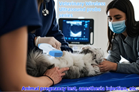 Scanner à ultrasons Doppler couleur sans fil pour chiens chats cochons moutons vaches chevaux équipement de diagnostic vétérinaire