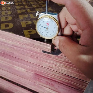 Contrachapado <span class=keywords><strong>Chantal</strong></span> de 18 mm con Revestimiento de Película WBP, Estilo 2023, para Uso en Exteriores, Diseño Moderno, Emisión de Formaldehído E1 - Product Image 5