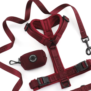 OEM Custom No Pull Dog Harness Set Jacquard Webbing Luxury Pet Harness With Heavy Duty Dog Leash Collar Custom Dog Harness Set