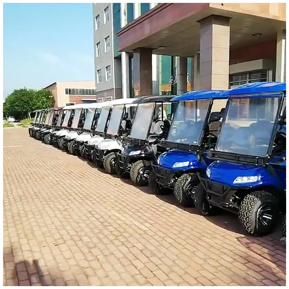 2023 중국 공장 48V 후드 가방 배터리 골프 버기 4 휠 전기 미니 골프 카트