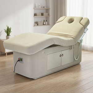 Fauteuil de soin électrique 3 moteurs pour usage domestique et professionnel, lit de beauté réglable de qualité clinique - Product Image 1