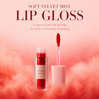 LSFAIRY LG77 Gloss à lèvres hydratant végétalien longue tenue personnalisé, vente en gros, emballage en vrac, marque privée, base