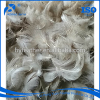 Plume de canard naturelle Snom teinte pour artisanat d'art bricolage chapeau accessoire de costume carnaval fête mariage maison Halloween décor