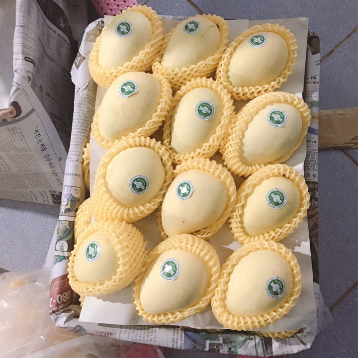 Tropical Fresh Fruit Exporter, Cat Chu, Kaew, Mango, Fresh Mango, Yellow Color, high Quality от Vietnam