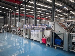 Nueva Tecnología: Línea de Producción Automática de Papas Fritas con Capacidad de 2000 kg/h para el Procesamiento de Vegetales - Product Image 4