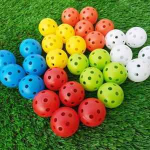 High Quality Custom Pickleballs Plastic Pickleball Ball Pickle Ball