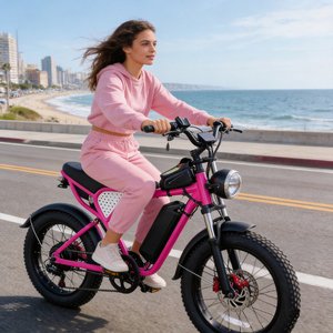 Bicicleta Eléctrica al por Mayor con Logotipo Personalizado, 20 Pulgadas, Color Rosa, Frenos de Disco, Neumáticos Anchos, Bicicleta Urbana, Bicicleta de Montaña, E-Bike, Directamente del Fabricante - Product Image 1