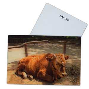 Tarjeta Lenticular 3D Personalizada con Impresión Lenticular 3D Popular 2025, Tarjeta Postal 3D de Navidad y Año Nuevo - Product Image 5