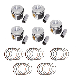 <span class=keywords><strong>PISTON</strong></span> et SEGMENTS 070107065AK 070107065AL 070107065M 070107065N 070107103AK pour MULTIVAN T5 2.5 TDI 81.01MM STD 0.50 - Product Image 1