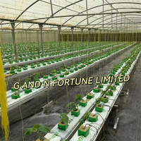 Tuyau en plastique pour canal pvc nft hydroponique pour poivre fraise et tomates