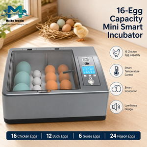 Incubateur d'œufs numérique entièrement automatique, double alimentation, écran LCD, retourneur d'œufs automatique, lampe <span class=keywords><strong>de</strong></span> visualisation des œufs pour poulets/canards/oiseaux/pigeons - Product Image 3