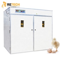 Allevamento di pollame 5280 uova incubatrice automatica completa di uova di gallina