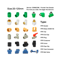 Usine personnalisée taille alimentation en eau Drainage salle de bain accessoires 20mm Ppr raccord de tuyau matériaux de plomberie raccords Ppr