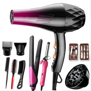 Wholesale Lightweight Foldable Styling Electric Hair <strong>Dryer</strong> Cold Hot Wind Hair Styler Tool Hair <strong>Dryer</strong> 2025 Trending - Product Image 1