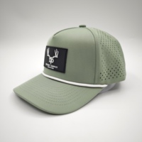Gorra de béisbol deportiva personalizada de 5 paneles con logo bordado de leopardo y frutas, ajustable, impermeable, con orificios perforados a láser