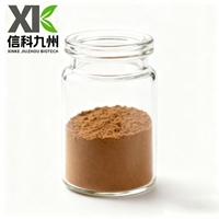 Extrait de Rhubarbe de Qualité Pharmaceutique Supérieure en Poudre, Extrait Naturel de Racine, Origine Shandong, Extraction par Solvant