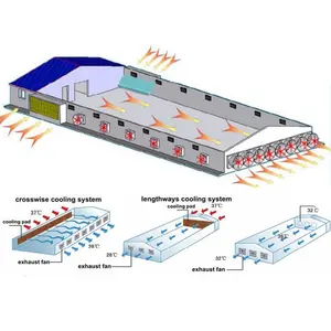 Large-scale automatic controlled layer poultry farm design