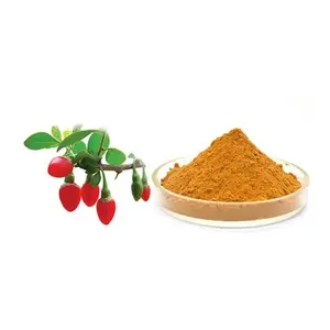 Natural Wolfberry Extract Powder Chinese Goji Extract