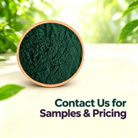 Poudre de protéines de spiruline riche en phycocyanine, soutien immunitaire, boissons sportives en vrac, durée de conservation de 24 mois