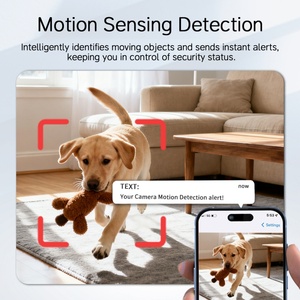 Fabricantes Mayoristas de Mini Cámaras Domésticas con Visión Nocturna Infrarroja de Alta Definición y Batería de Larga Duración - Product Image 4