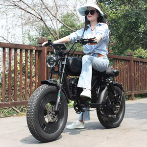 Bicicleta Eléctrica Urbana de Alta Velocidad de 60V 1500W, Rueda de 20 Pulgadas, Plegable, Batería de Iones de Litio, para Desplazamientos Diarios, SK-2 Eléctrica - Product Image 1