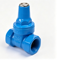 Vanne de régulation manuelle filetée à joint souple, type verrouillable avec entrée pour compteur en option, PN16, OEM disponible, 1/2"~4" pour l'alimentation en eau