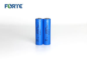 1.5v lfb Li-FeS2 लिथियम आयरन डिसुफाइड या या तो बैटरी के साथ 6 f03 गैर-रिचार्जेबल लिथियम/लौह डिसल्फाइड (ली/उत्सव 2) - Product Image 5