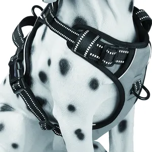 Impermeabile riflettente ad asciugatura rapida manico di controllo piccolo medio grande 2 guinzaglio attaccare collo petto cane Pet Walk gilet collare imbracatura