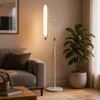 Lampe sur pied K33 pour vidéo, installation stable au sol, éclairage doux et diffus, large surface lumineuse pour l'enregistrement sur les réseaux sociaux, livraison gratuite