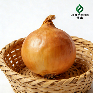 <span class=keywords><strong>Oignon</strong></span> jaune frais de qualité supérieure en gros au meilleur prix - Product Image 2
