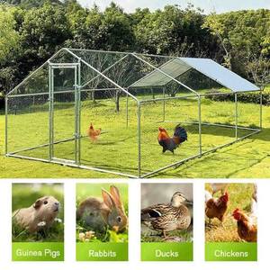 Poulailler en acier avec clôture, cage imperméable en forme de cloche, enclos pour poulets à usage extérieur, poulailler accessible - Product Image 3