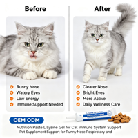 Pasta Nutrisi L-Lysine untuk Kucing, Mendukung Imunitas, Pernapasan, dan Penglihatan, Gel Nutrisi OEM Label Pribadi, Suplemen Hewan Peliharaan