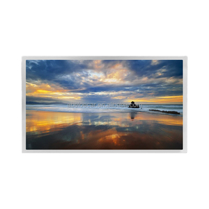 Écran LCD TFT BOE GV101WXM-N10 GV101WXM-N80 GV101WXM-N81 10,1 pouces 800x1280 280 nit avec interface MIPI et carte de commande - Product Image 1