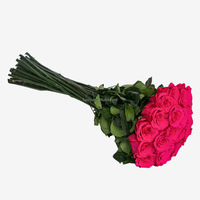 Décoration de la maison rose vif couleur longue durée stabilisée éternelle pour toujours immortelle longue tige Rose fleur préservée dans un vase