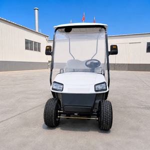 Voiturette de <span class=keywords><strong>golf</strong></span> électrique nouvelle conception, couleur personnalisée, <span class=keywords><strong>2</strong></span> places, transport spécial extérieur avec porte – Meilleures ventes - Product Image 3