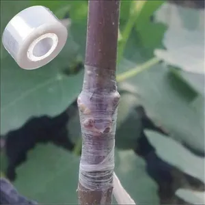 生物降解透明花艺薄膜可拉伸防潮膜Parafilm花园嫁接胶带树苗花园用品