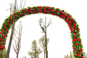 2024 Offre Spéciale 9 têtes fleur artificielle Rose <span class=keywords><strong>vigne</strong></span> pour la décoration de mariage à la maison - Product Image 3